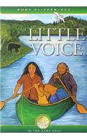 Little Voice