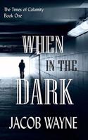 When in the Dark: The Times of Calamity Book One