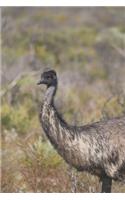 Emu: Notizbuch / Tagebuch Vogel - DIN A5 120 Seiten liniert - Geschenk Vogelliebhaber Australien