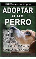 @perrotips