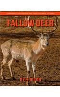 Fallow Deer! Learn about Fallow Deer and Enjoy Colorful Pictures