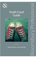 Youth Court Guide: Fifth Edition