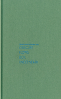 Dennis McNulty: Obscure Flows Boil Underneath, 2004-2011