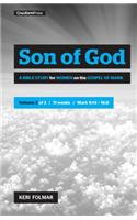 Son of God (Vol 2)
