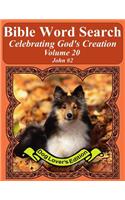 Bible Word Search Celebrating God's Creation Volume 20