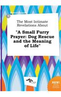The Most Intimate Revelations about a Small Furry Prayer