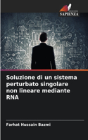 Soluzione di un sistema perturbato singolare non lineare mediante RNA