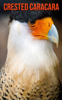 Crested Caracara