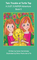 Twin Trouble at Turtle Top: A JUST JUNIPER Adventure(5 Just Juniper Adventures - Chapter Books)