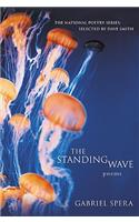 Standing Wave