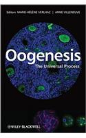 Oogenesis