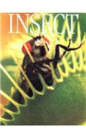 Eyewitness Guide:  Insect