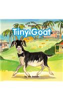 Tiny Goat