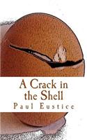 Crack in the Shell