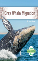 Gray Whale Migration