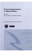 Private Organizations in Global Politics