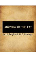 Anayomy of the Cat