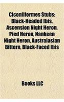 Ciconiiformes Introduction: Black-Headed Ibis, Ascension Night Heron, Pied Heron, Nankeen Night Heron, Australasian Bittern, Black-Faced Ibis: (English)
