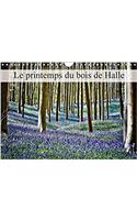 Le Printemps Du Bois De Halle 2017
