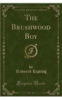 The Brushwood Boy (Classic Reprint): (English)