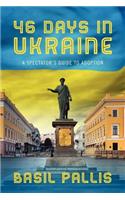 46 Days in Ukraine: A Spectator's Guide to Adoption