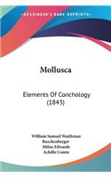 Mollusca