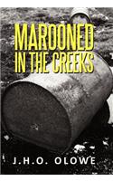 Marooned in the Creeks: The Niger Delta Memoirs(English)