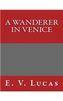 A Wanderer in Venice