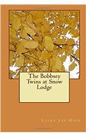 The Bobbsey Twins at Snow Lodge