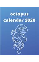 octopus Calendar 2020