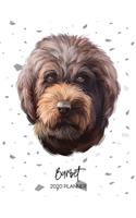 Barbet 2020 Planner: Dated Weekly Diary With To Do Notes & Dog Quotes