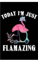 Today I'm Just Flamazing: Today I'm Just Flamazing Flamingo Cycling Funny Journal/Notebook Blank Lined Ruled 6x9 100 Pages