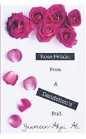 Rose Petals; From A Dandelion's Bud.