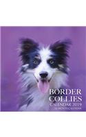 Border Collies Calendar 2019