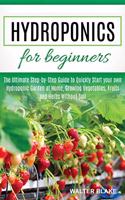 Hydroponics for Beginners