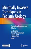 Minimally Invasive Techniques in Pediatric Urology