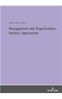 Management and Organization: Various Approaches
