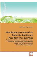 Membrane proteins of an Antarctic bacterium Pseudomonas syringae