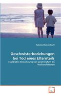 Geschwisterbeziehungen bei Tod eines Elternteils
