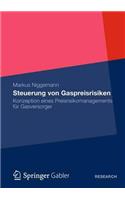 Steuerung Von Gaspreisrisiken