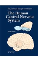 Human Central Nervous System