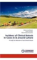 Incidenc of Clinical Ketosis in Cows in & around Lahore