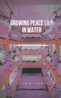 Growing Peace Lily In Water: The Ultimate Beginners Guide to Building a Hydroponic System