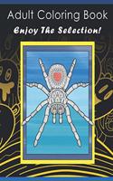 Adult Coloring Book Enjoy The Selection!: Diverse Coloring Pages For Adults And Older Children. Fantastic Collection. Coloring Books For Adults Teens Women With A Variety Of Different Styles