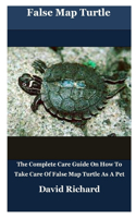 False Map Turtle