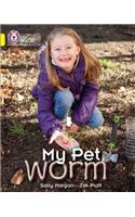 My Pet Worm