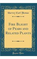 Fire Blight of Pears and Related Plants (Classic Reprint)