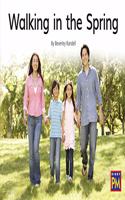 Walking in the Spring: Bookroom Package Green Non Fiction Level 14/15 Grades 1-2(Rigby PM Collection)