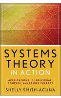 Systems Theory in Action