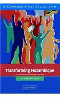 Transforming Mozambique African Edition